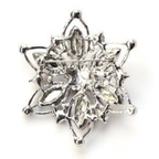 National Guard Brooch 9M