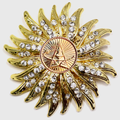 Space Force Gold Signature Brooch 15O