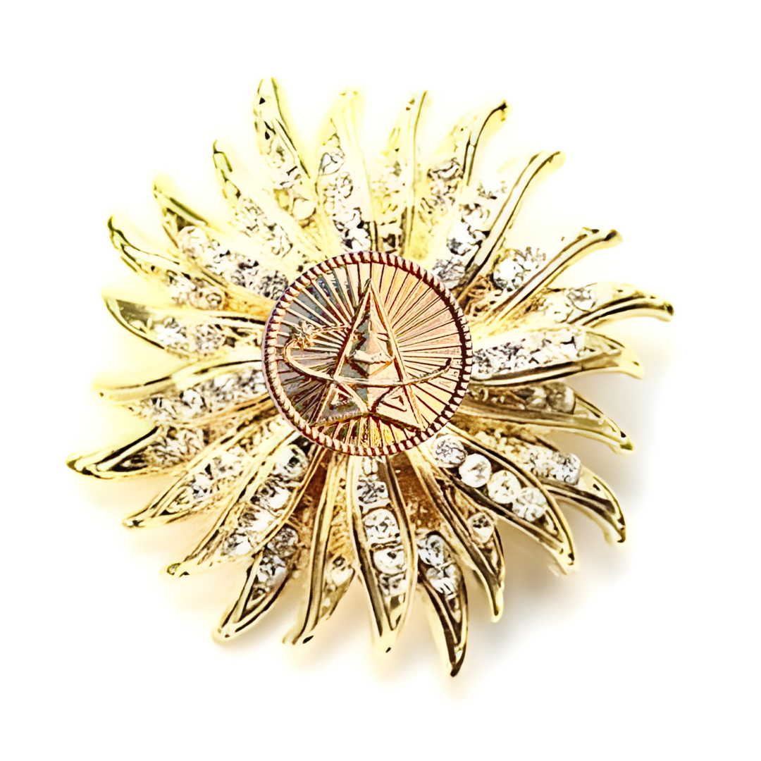 Space Force Gold Signature Brooch 15O