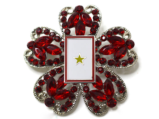 Gold Star Banner Brooch 13F