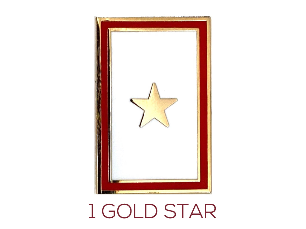 Brooch 24H