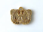 Warrant Officer | Army Branch Charm