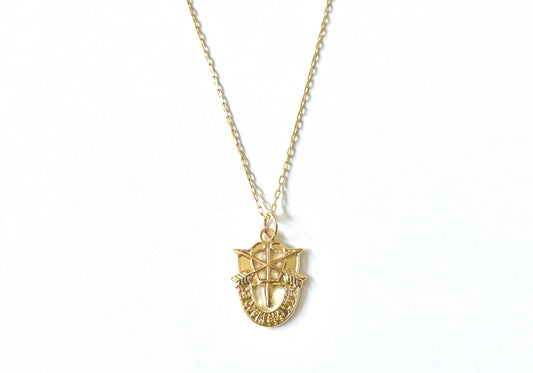 US Army Special Forces 'De Oppresso Liber' (DOL) Gold Charm Necklace
