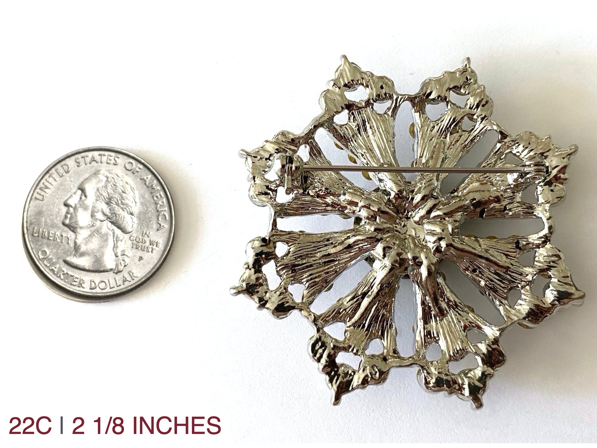 Space Force Brooch 22C
