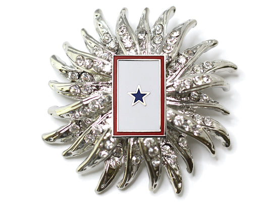 Blue Star Banner Brooch 15N