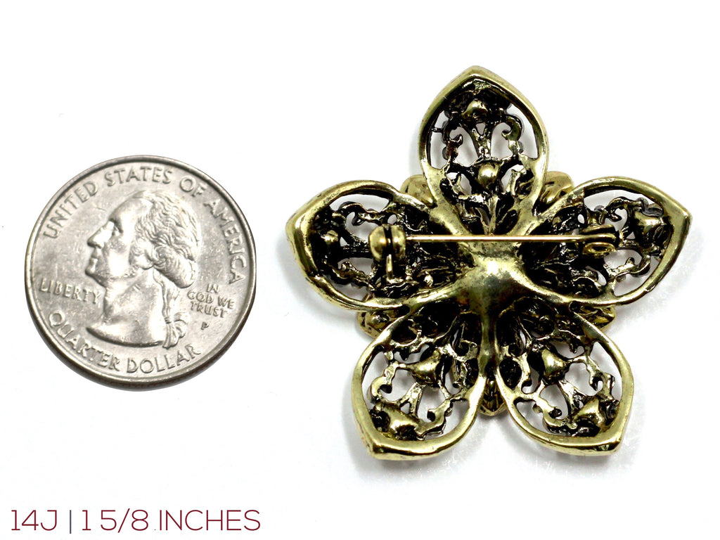 Special Forces Brooch