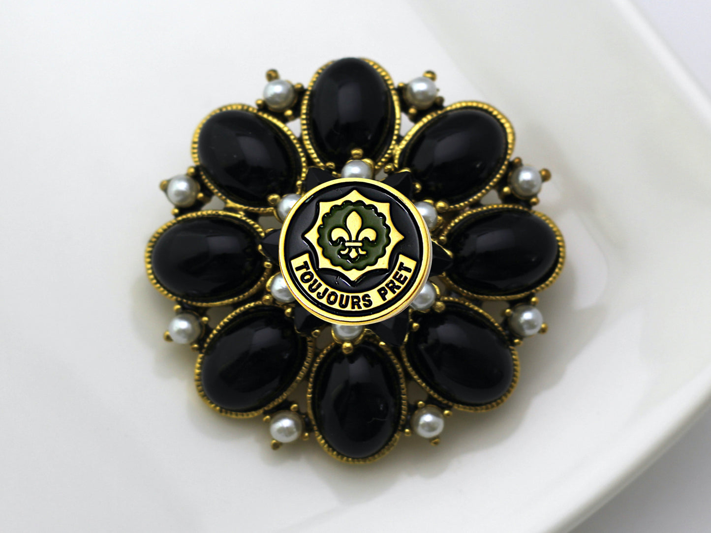 2nd Cavalry Regiment Brooch 13A