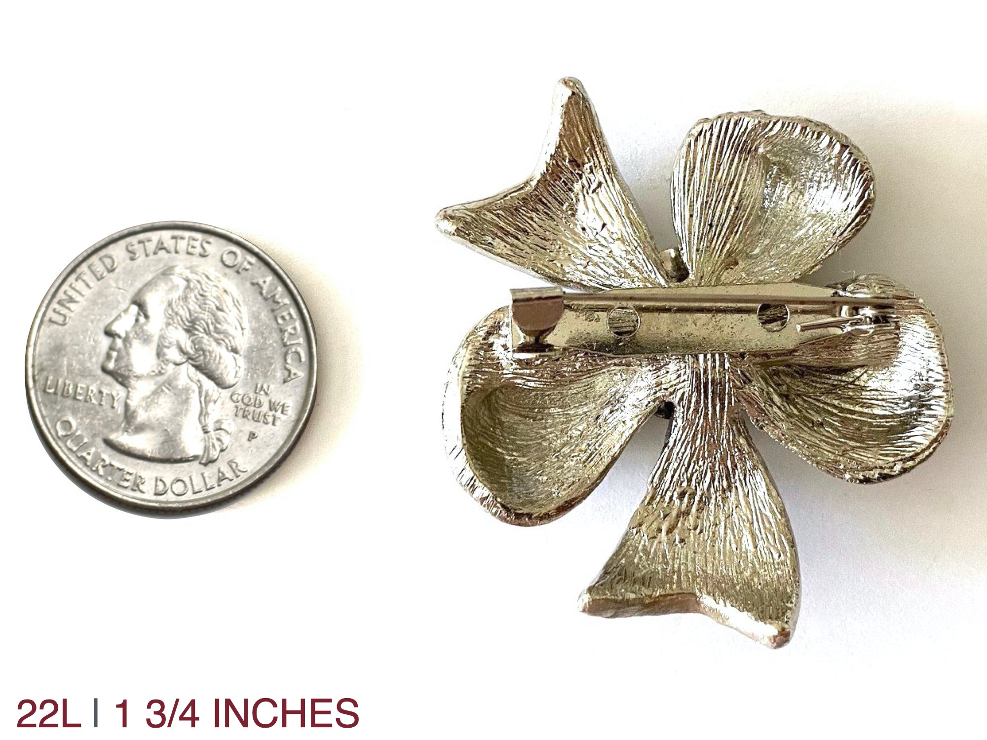 Space Force Brooch 22L