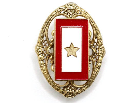 Gold Star One of a Kind Brooch BR52